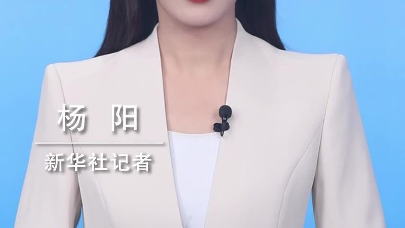 大企业数据湖应用：揭秘其背后的架构与挑战**